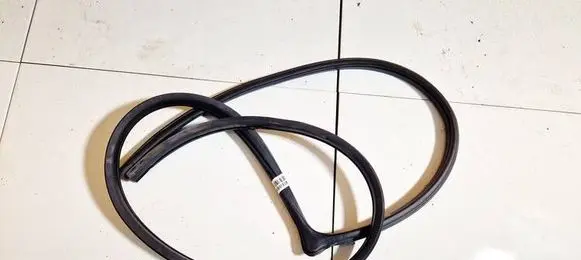 Chevrolet Epica Rubber seal front coupe door 