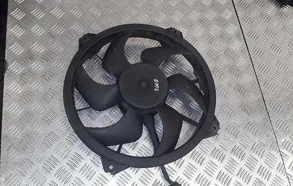 Citroen DS3 Electric radiator cooling fan 300000801