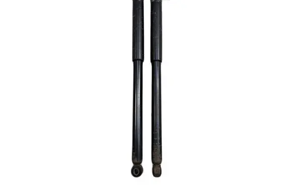 Fiat Sedici Rear shock absorber/damper 000944