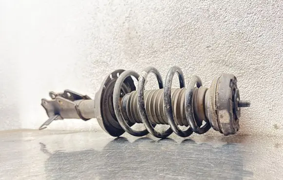 Opel Insignia A Front shock absorber with coil spring