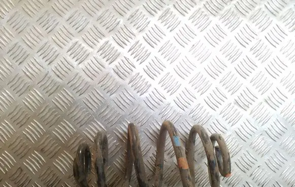Rear coil spring