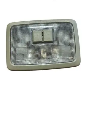 Opel Antara Interior lighting switch 