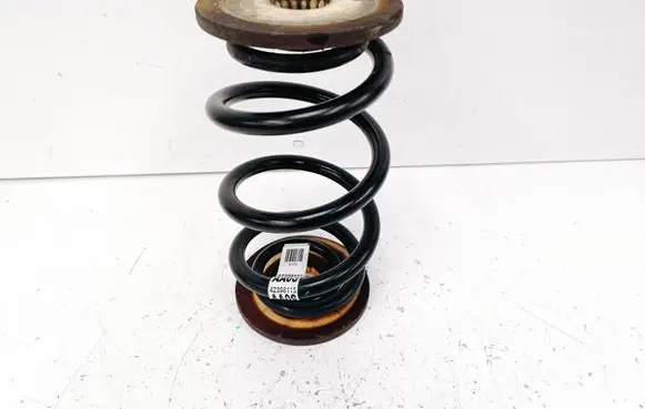 Buick Encore I Rear coil spring 42398115