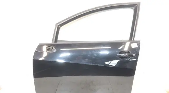 Seat Ibiza IV (6J,6P) Front door