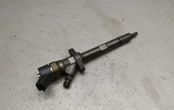 Citroen C5 Fuel injector 0445110036 9653344880