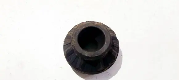 Coil spring mount