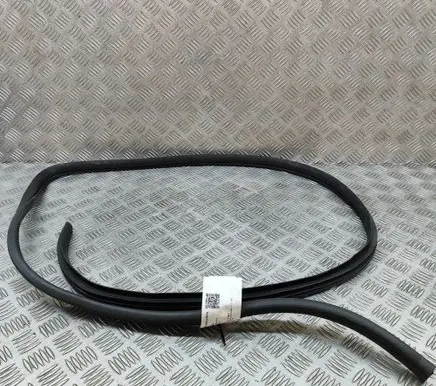 BMW 3 F30 F35 F31 Rubber seal front coupe door 821102T000