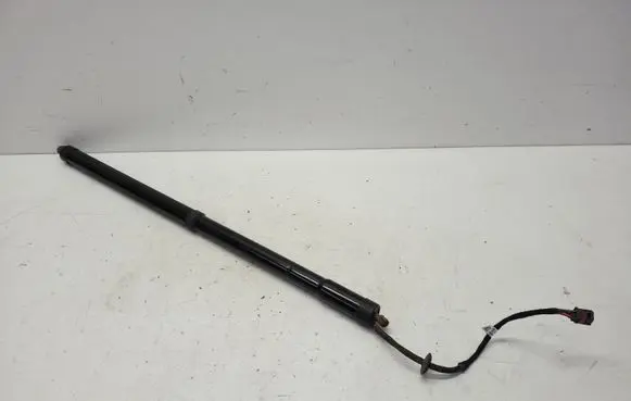 Ford C-MAX II Tailgate/trunk strut/damper AM51R404C84AD