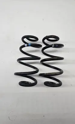 Rear coil spring