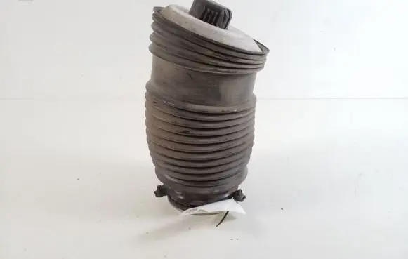 Mercedes-Benz EQC Rear air suspension bag/shock absorber A2053200125