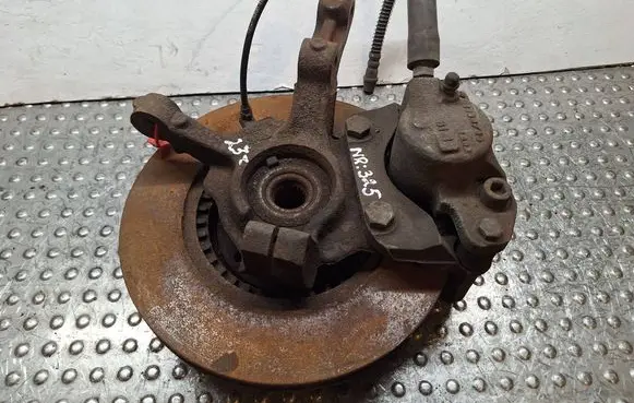 Renault Twingo II Front wheel hub spindle knuckle S25056325 8200663586