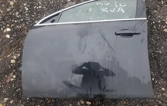 Opel Insignia A Front door juodos