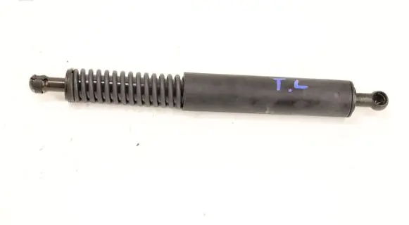 Tailgate strut