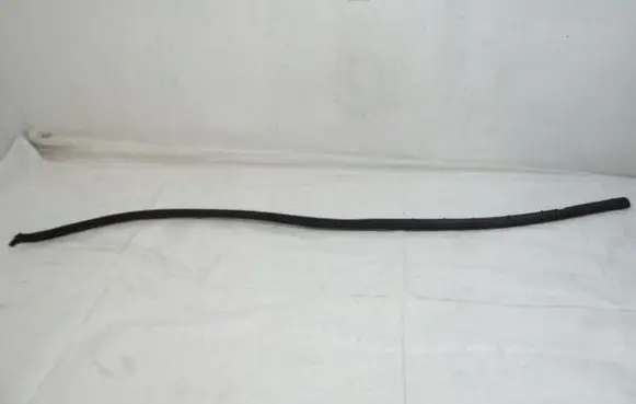 Citroen DS4 Rubber seal rear door 