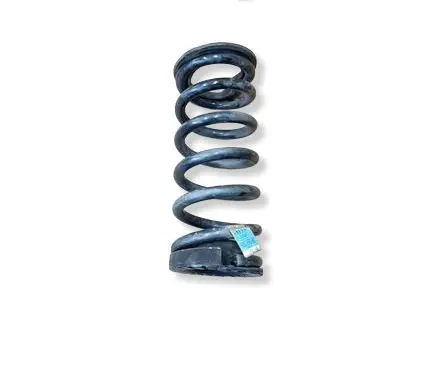 Ford Mustang VI Rear coil spring FR3C5560BC DG9C5599AXC E1GC5B718AXC