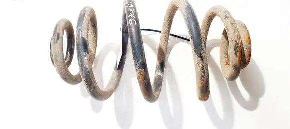 Volkswagen PASSAT B5.5 Rear coil spring