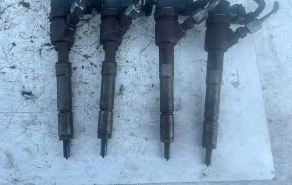 Citroen C3 Fuel injectors set 0445110311