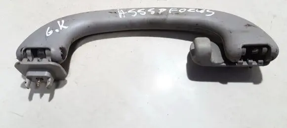 Ford Focus Rear interior roof grab handle
