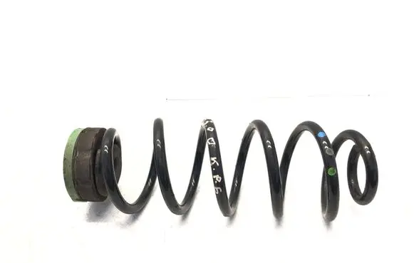 Rear coil spring