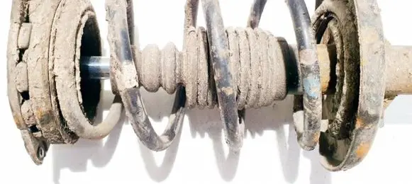 Front coil spring