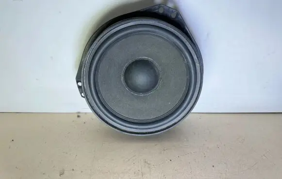 Renault Trafic II (X83) Rear door speaker 9175188 L091226