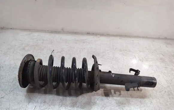 Land Rover Discovery Sport Front shock absorber with coil spring