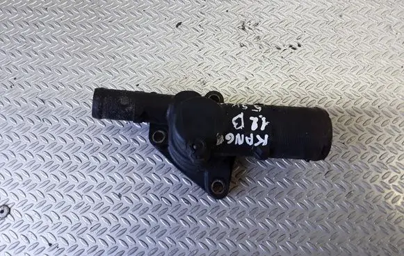 Thermostat/thermostat housing