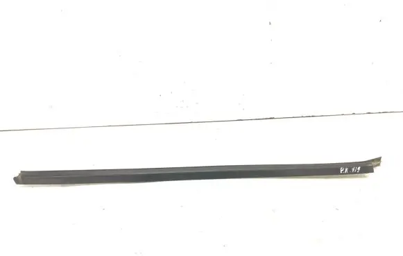 Nissan Pathfinder R51 Rubber seal front door window/glass 