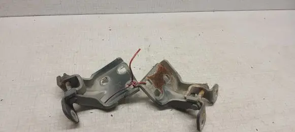 Chrysler Voyager Front door hinge set 4717208AC