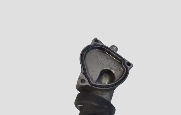 Opel Insignia A Oil filler cap 55565946 428702815