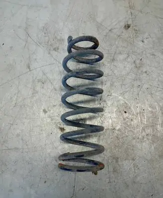 Rear coil spring