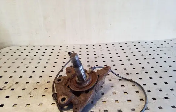 Renault Megane III Rear wheel hub