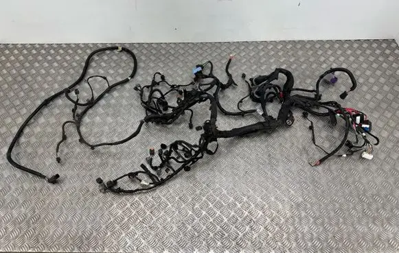 Renault Scenic IV - Grand scenic IV Engine installation wiring loom 240112173S