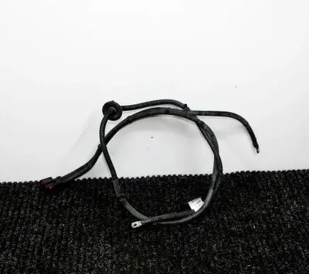 Audi Q5 SQ5 Other wiring loom 8R1971111