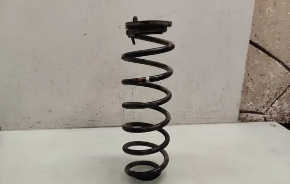 Volkswagen Golf Plus Rear coil spring
