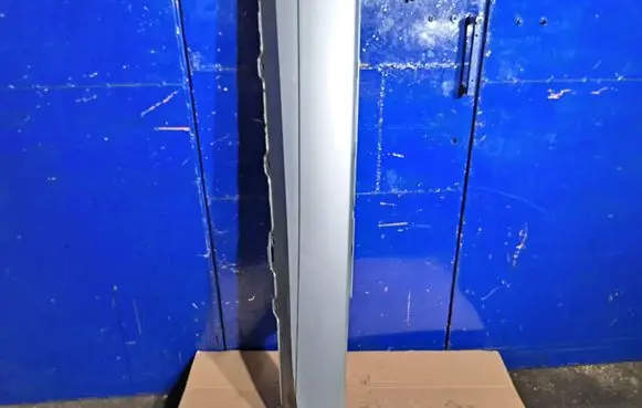 Jaguar F-Type Sill EX53101D56A