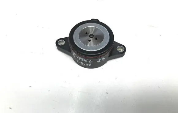 Jaguar E-Pace Camshaft vanos timing valve G4D36M280AE