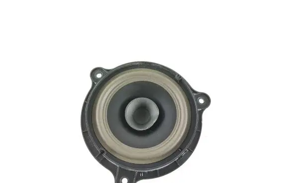 Front door speaker