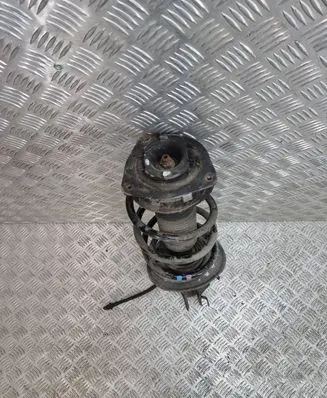 Nissan Qashqai+2 Front shock absorber/damper 54302BR20A