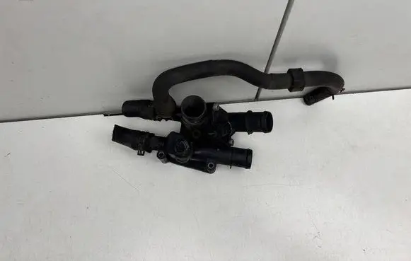 Thermostat/thermostat housing