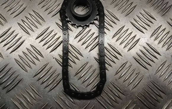 Nissan Qashqai Oil pump chain 313628