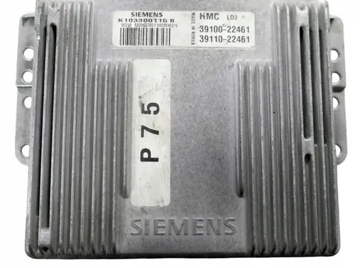 Hyundai Accent Engine control unit/module K103300116B