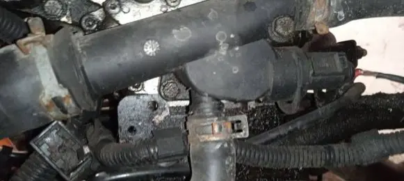 Audi A3 S3 8L Engine coolant pipe/hose