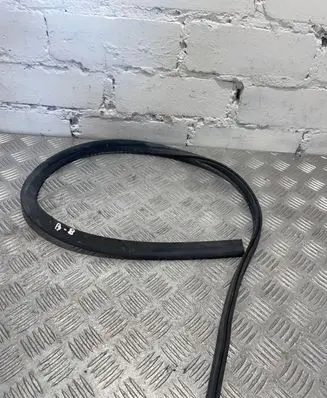 Volkswagen PASSAT B8 Engine compartment rubber 3G0823723