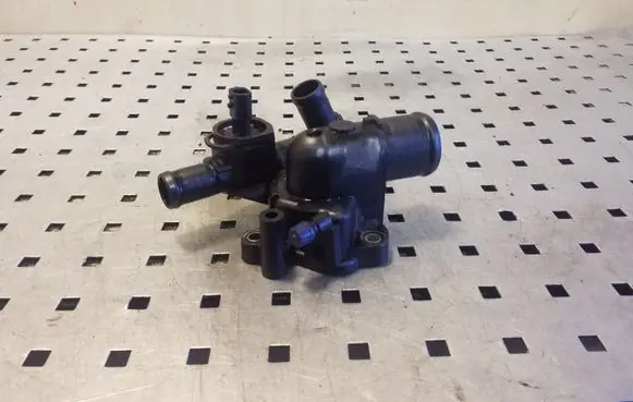 Thermostat/thermostat housing