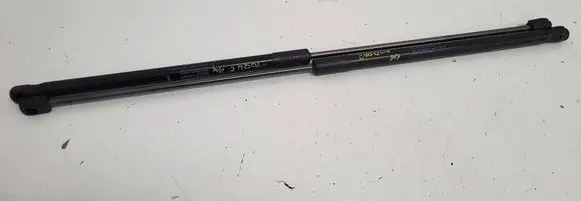 Tailgate/trunk strut/damper