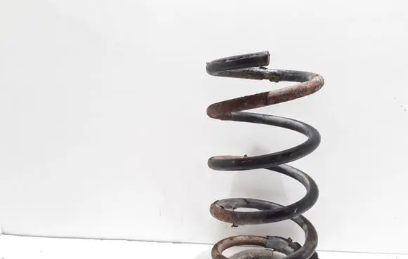 Hyundai Santa Fe Rear coil spring