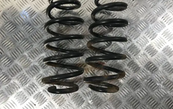 Toyota Avensis T270 Rear coil spring 4823105500