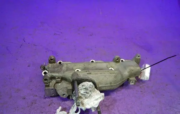 Opel Signum Intake manifold