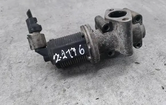EGR valve